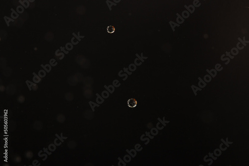 Moving bubbles of gas in water on a black background. Macro. Wallpaper.