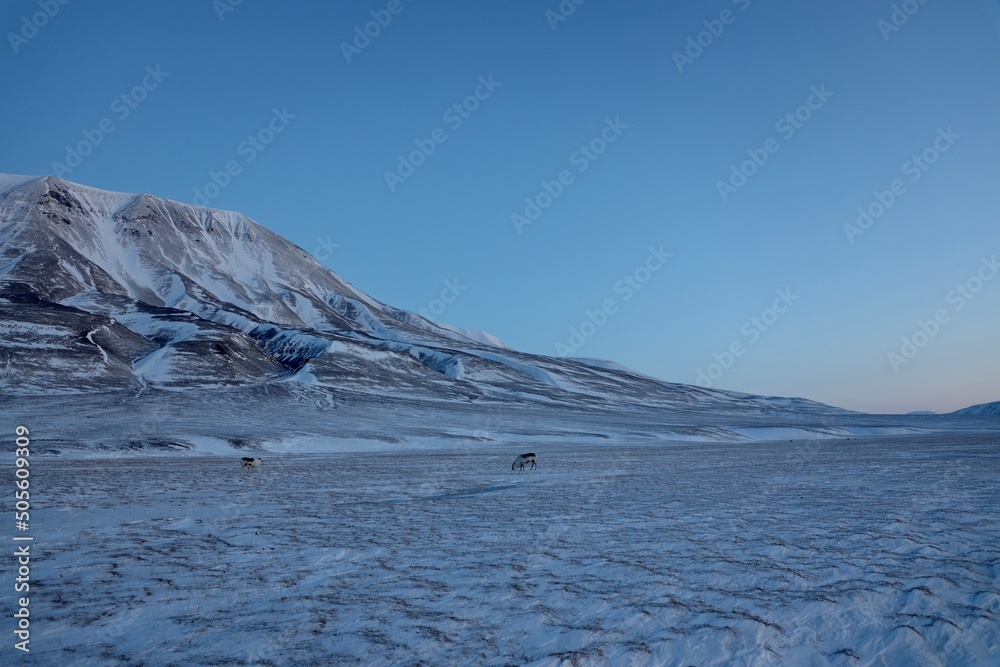 svalbard / spitzbergen landscape with snow and ice