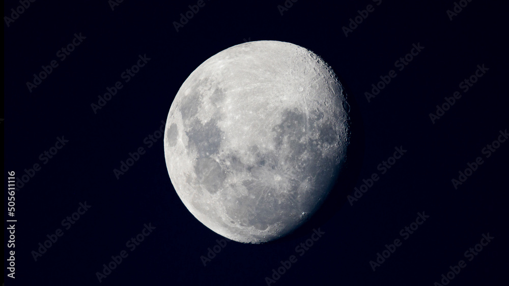 Luna Luna