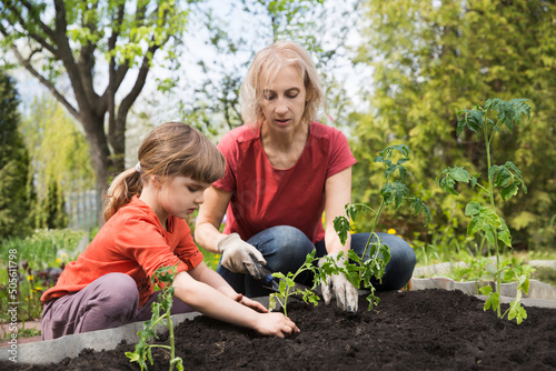  slow life. pastoral life. enjoy the little things. favorite family hobby. Mom and child daughter planting seedling In ground in garden. Kid helps in the home garden. slow life. Eco-friendly