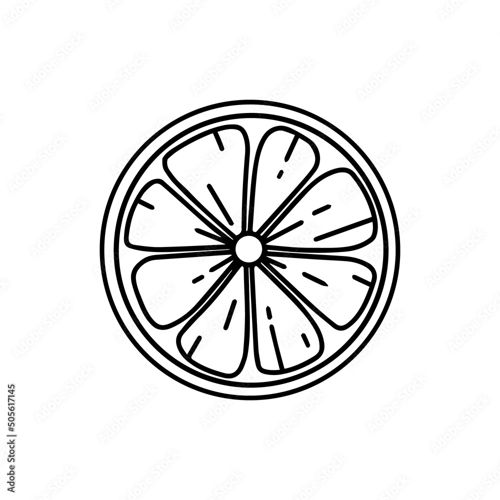 Half a lemon. Doodle style. Vector illustration. Half lime. Lemon slice. Half a lemon. Doodle style. Vector illustration. Half lime. Lemon slice.