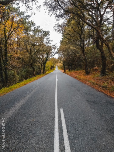 road empty in autumn