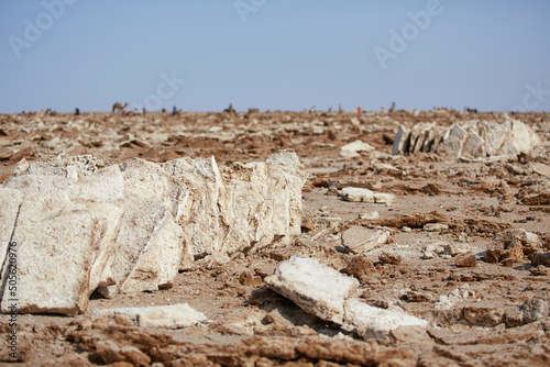 Wallpaper Mural Salt slabs collected at a salt collection site, Lake Asale, Danakil, Ethiopia Torontodigital.ca