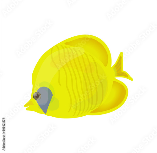 Portrait of nice tropical fish. Vector