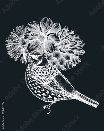 Hand-sketched bird with autumn flowers illustration on chalkboard. Fall design with birds, florals, geometric shapes, and abstract elements. Can be used for print, poster, wall art, social media photo