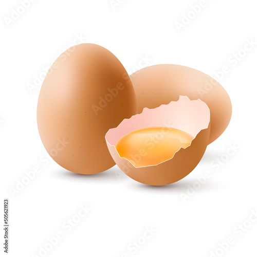 Fresh Organic Chicken Eggs on White Background. The Egg is half Broken in the Shell, Among the Other Two Large Brown Eggs