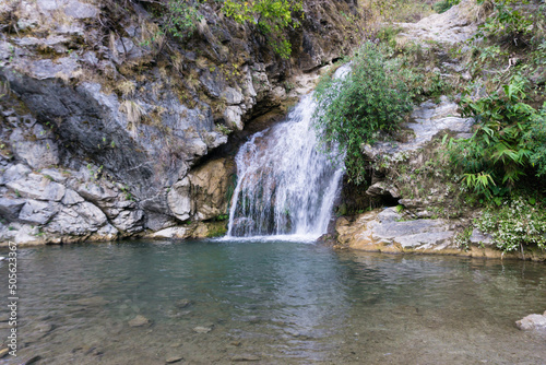 Fototapeta Naklejka Na Ścianę i Meble -  A beautiful waterfall with green pond in the middle of the forest in the outskirts of dehradun city of Uttarakhand , India.