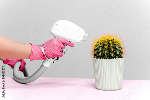A cactus in a light green pot with yellow needles stands on a pink table, a laser hair removal device is aimed at it, the nozzle body on a gray background. Hair removal, joke, laser epilation, fun