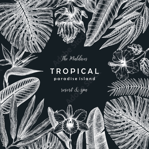 Tropical banner on a chalkboard. Vector frame with hand-drawn tropical plants, exotic flowers, palm leaves, insects, and chameleon. Wildlife background with hand-sketched tropical plants and animals