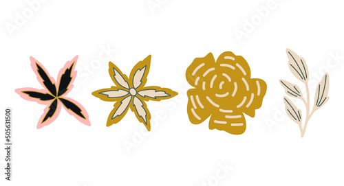 Collection of hand drawn natural elements of flowers and plants
