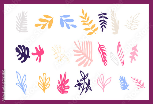 Collection of hand drawn natural elements of flowers and plants