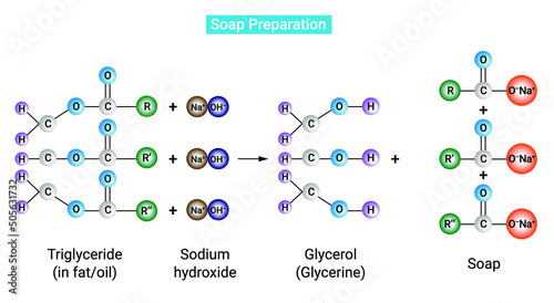 Soap Preparation: Atomic representation of Saponification reaction