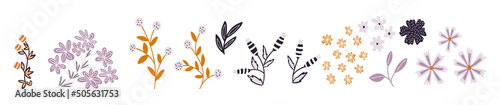 Collection of hand drawn natural elements of flowers and plants