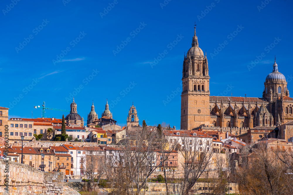 Fototapeta premium Salamanca skyline view with Cathedral and Enrique Estevan Bridge on Tormes River, Spain