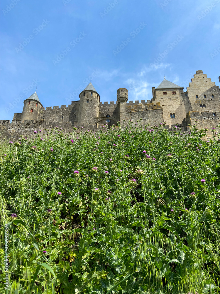 Château Comtal de la cité médiéval de Carcassonne, Occitanie