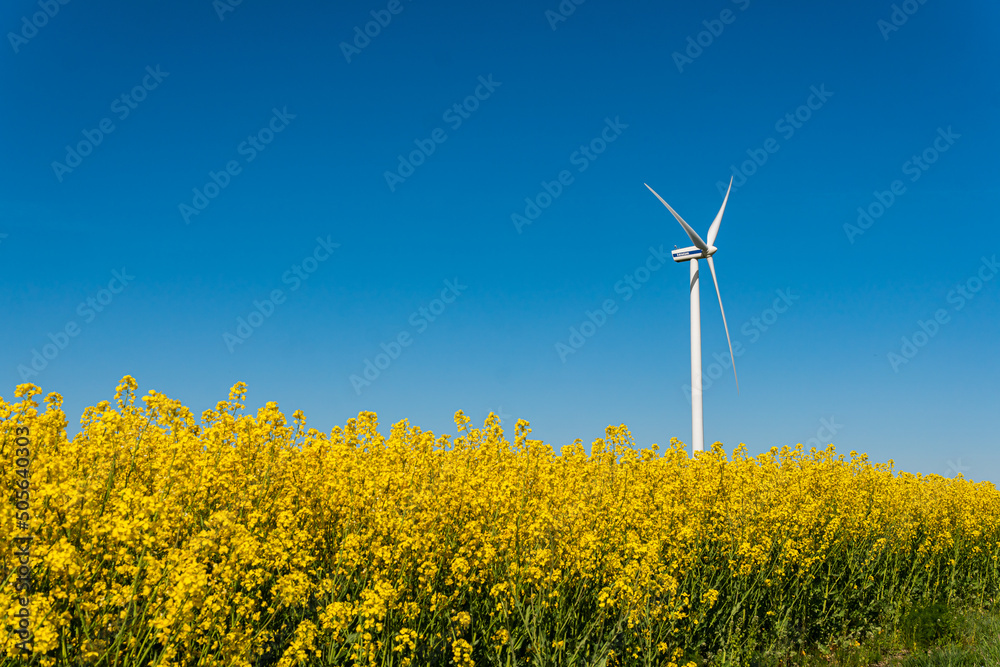 Sweden, Kristianstad – May 17, 2022: Huge wind turbines, electrical energy generators in a field outdoors, blue sky. Sweden, Kristianstad – May 17, 2022: Huge wind turbines, electrical energy generators in a field outdoors, blue sky.