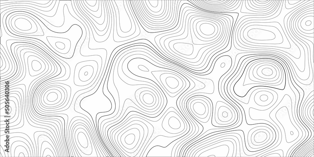 Fotografie Abstract background with vector monochrome seamless pattern, curved lines, black & white background