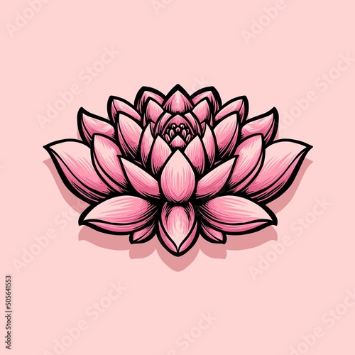 pink flower lotus vector illustration
