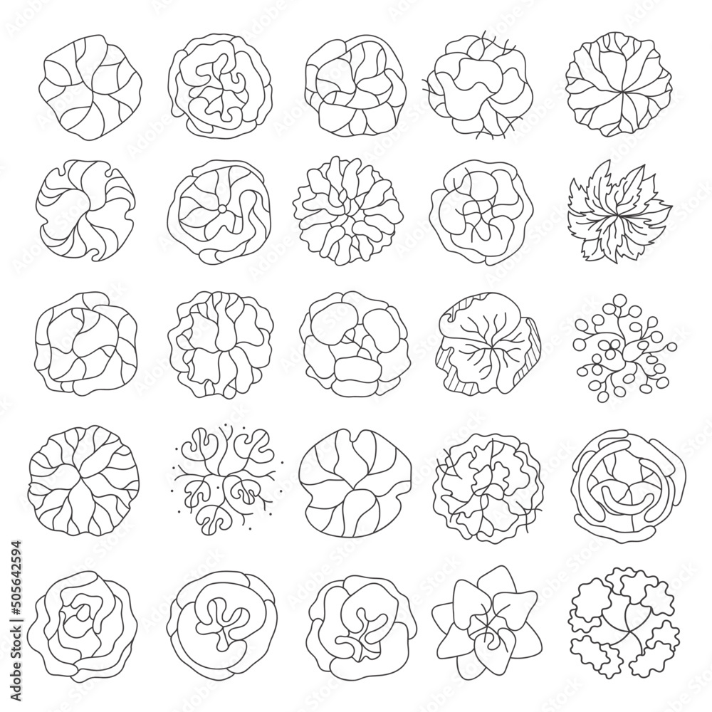 Trees for the master plan. Tree plans for architectural floor plans or landscape designs. Trees for the master plan. Tree plans for architectural floor plans or landscape designs.