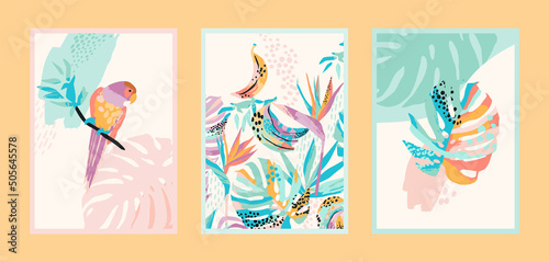 Set of art prints with abstract tropical nature. Modern vector design for posters  cards  cover packaging and other