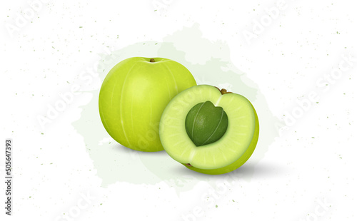 Indian gooseberry fruit vector illustration with half piece of fruit 