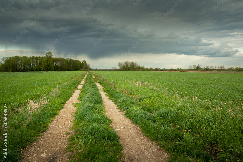 A dirt road between green fields and a cloudy sky. A dirt road between green fields and a cloudy sky.