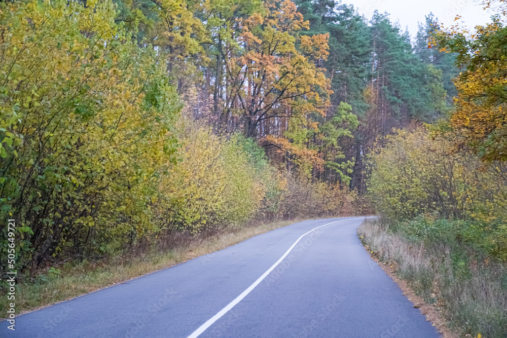 The road that passes through the bright autumn forest. Fairytale colorful autumn forest.Colorful leaves around the road.