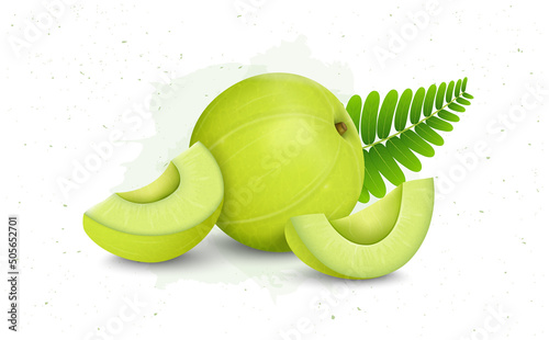 Indian gooseberry fruit (amla) vector illustration with Amla pieces and green leaves
