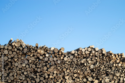Stack of wooden logs on blue sky background