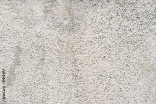 Wallpaper Mural White old stone background, bright cement wall texture. Torontodigital.ca