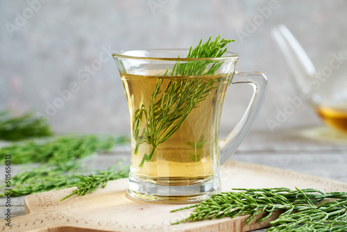 Fresh horsetail plant in a cup of horsetail tea photo