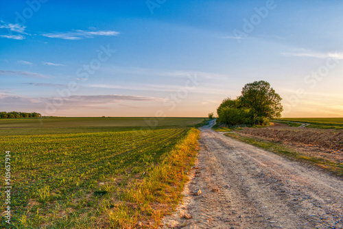 Dirt road in the hungarian countryside in spring