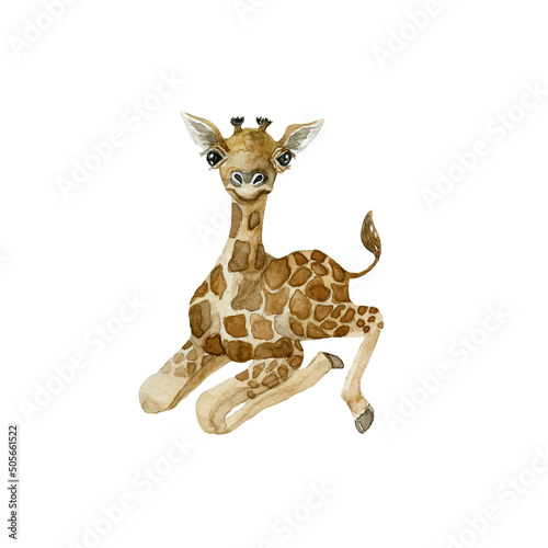 Baby Giraffe on white background. Wild animal.