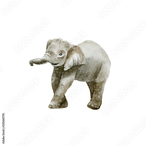 Baby Elephant on white background. Wild animal. © vectorgirl