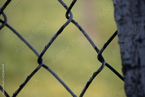 lattice protecting from green nature. concept of hold, captivity. high quality photo