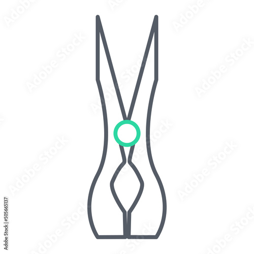 Clothes Peg Icon