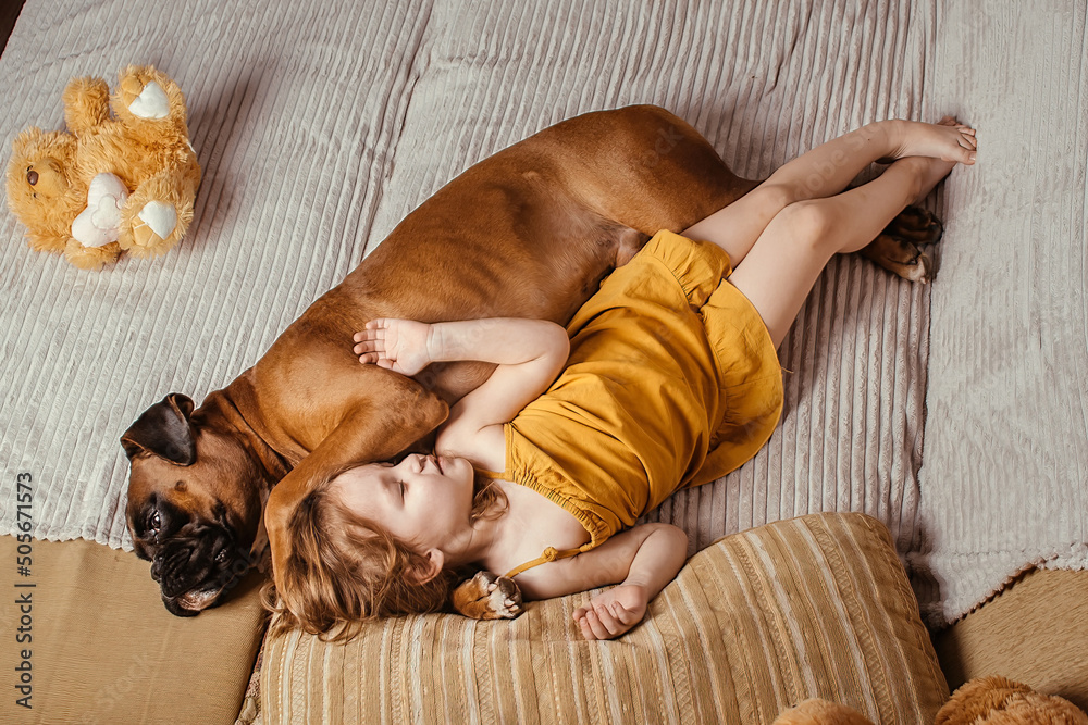 Ταπετσαρία little girl at home on the couch goes to bed with her big dog, trust and friends