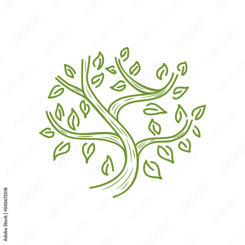 Fototapeta premium vintage style oak tree illustration.