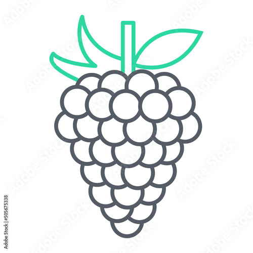 Grapes Icon Design