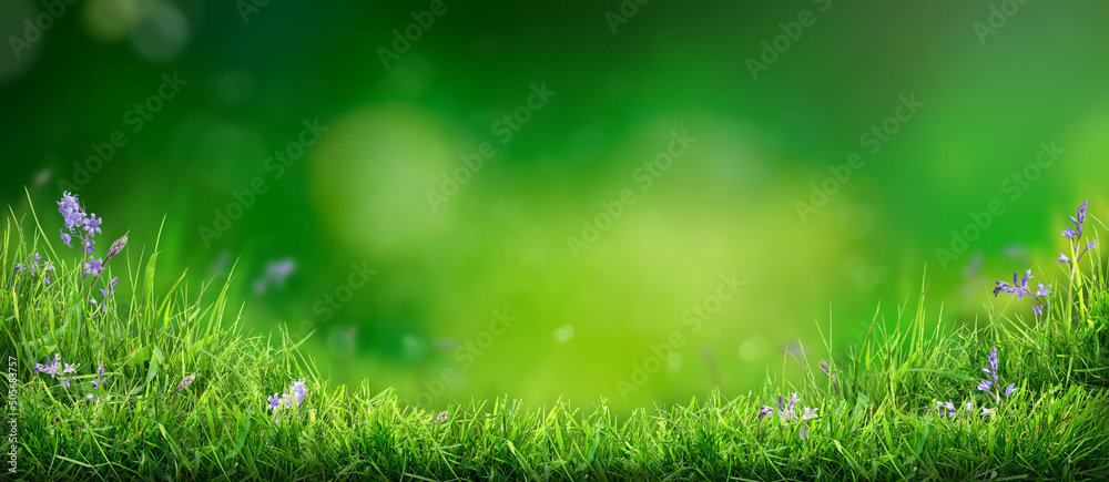 A lush fresh green spring garden background with a blurred foliage background.