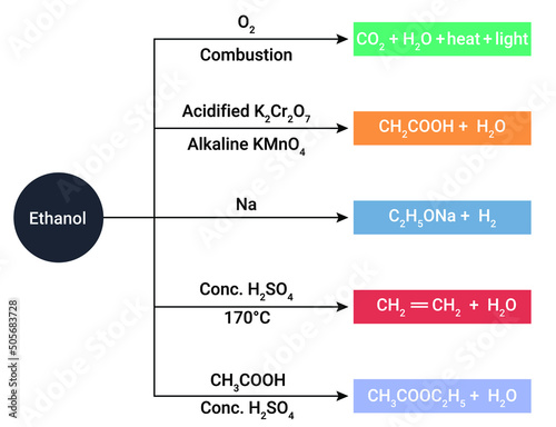 Ethanol is a renewable fuel made from corn and other plant materials.