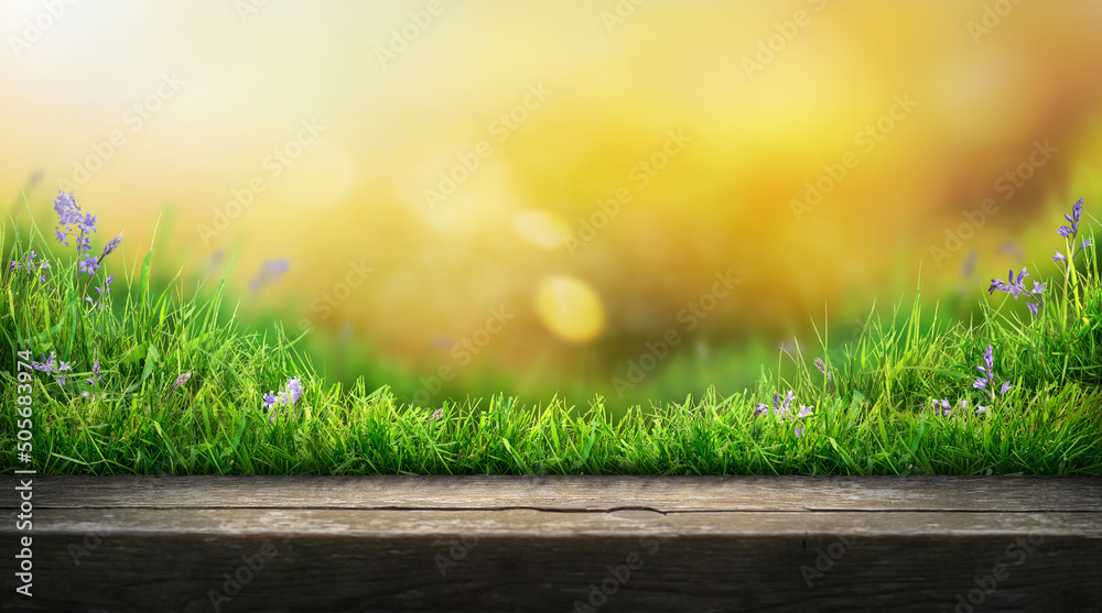 A wooden table product display with warm sunset summer garden background of green grass and blurred foliage with strong sunlight.