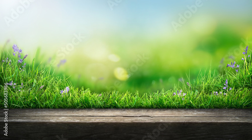 Obraz na płótnie A wooden table product display with warm spring garden background of green grass and blurred foliage with strong sunlight. w salonie