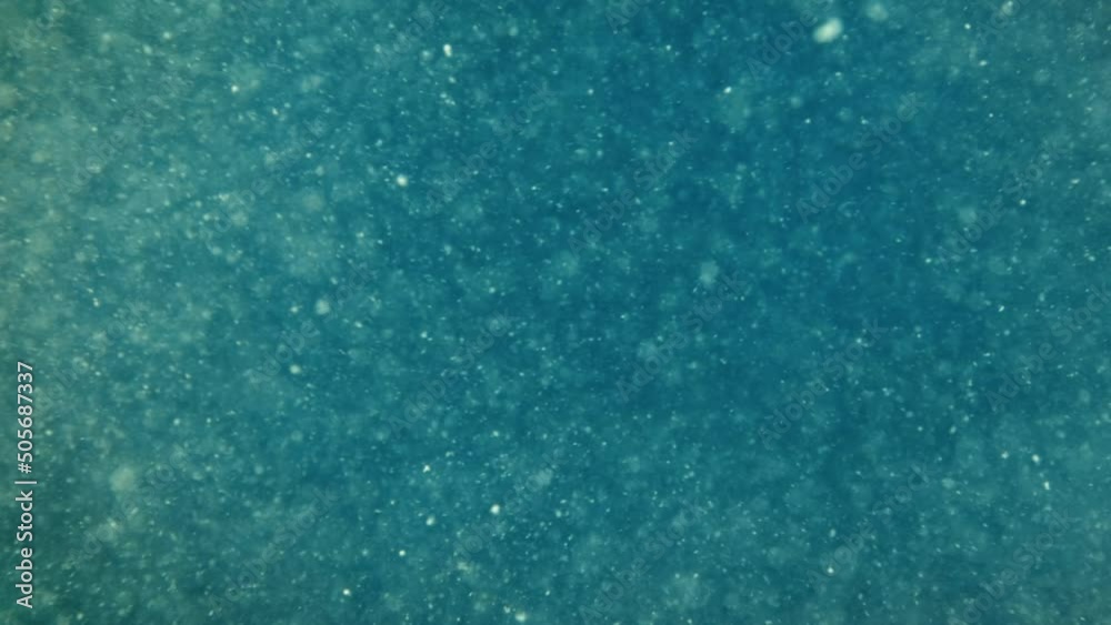 Abstract underwater background. Dirty water close up.