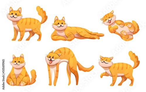Set of cute cat in various poses cartoon illustration