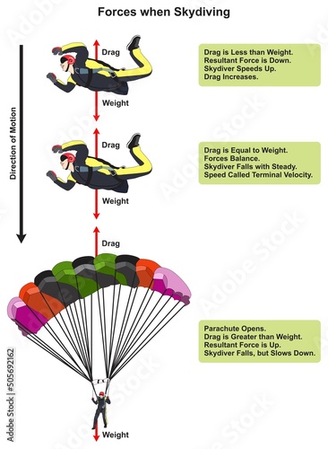 Forces when skydiving infographic diagram for physics science education air resistance drag weight gravity skydiver speed velocity cartoon vector drawing illustration chart scheme poster