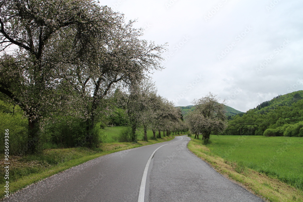 Naklejka premium Road from Sučany to Turčianska Stiavnicka in springtime, central Slovakia