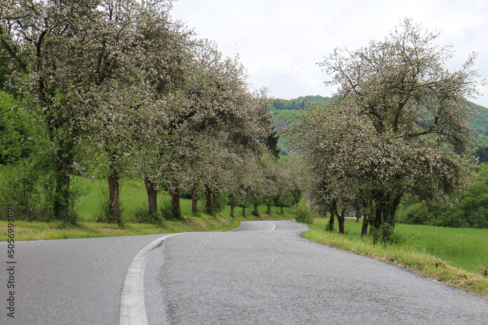 Road from Sučany to Turčianska Stiavnicka in springtime, central Slovakia