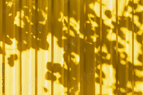Abstract background of yellow wall with light shadows of branches. Metal fence with shade from the tree  copy space.