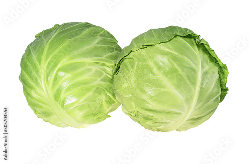 Green cabbage isolated on a white background